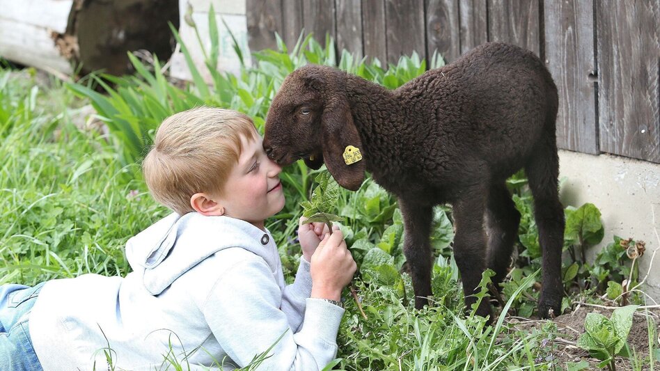Bike Riding RT4 Sölsnitz – Kindberg Mürztaler StreuObstRegion - Touren-Impression #2.2 | © Landgasthof Sepplwirt