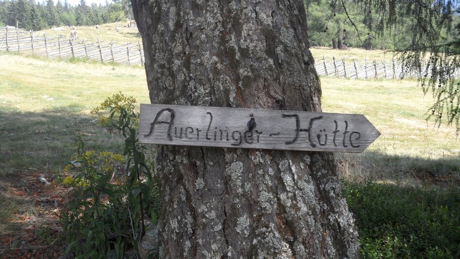 Hiking route 5-Almhüttenwanderung - Touren-Impression #2.11 | © Region Graz