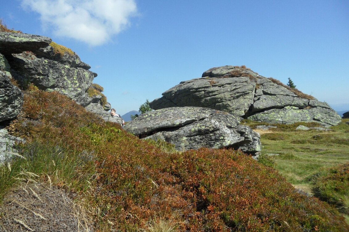 Hiking route 6-Almhüttenwanderung - Touren-Impression #1 | © Region Graz