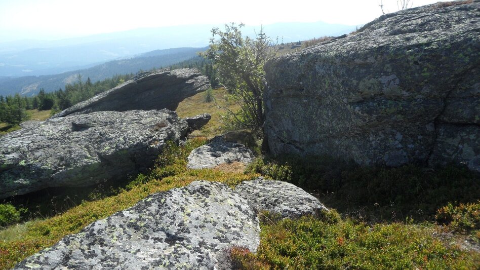 Hiking route 6-Almhüttenwanderung - Touren-Impression #2.2 | © Region Graz