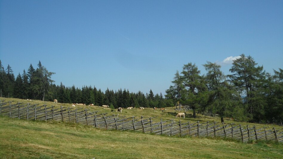 Hiking route 7-Almhüttenwanderung Variante 2 - Touren-Impression #2.14 | © Region Graz