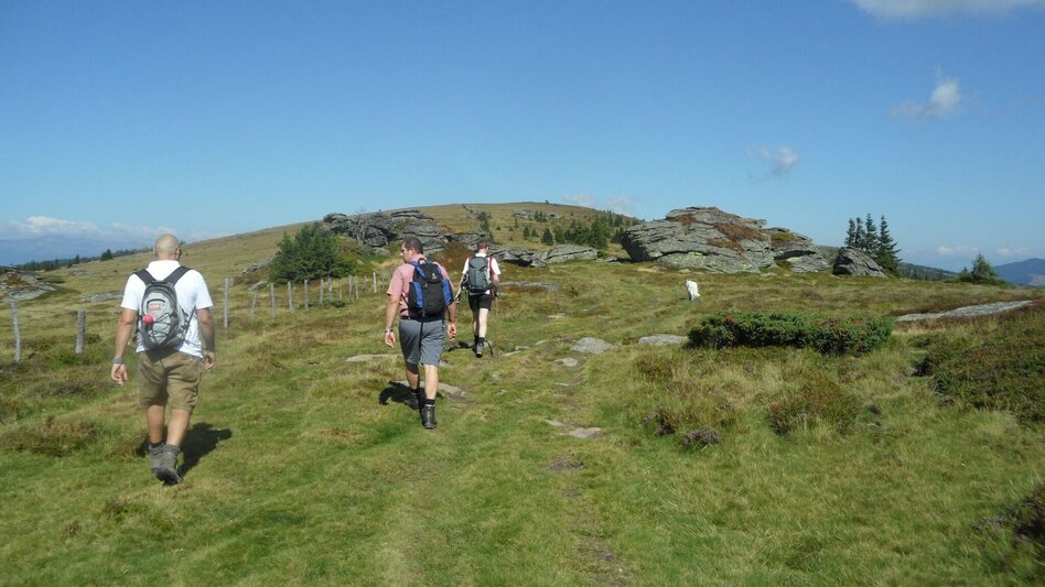 Hiking route 7-Almhüttenwanderung Variante 2 - Touren-Impression #2.19 | © Region Graz