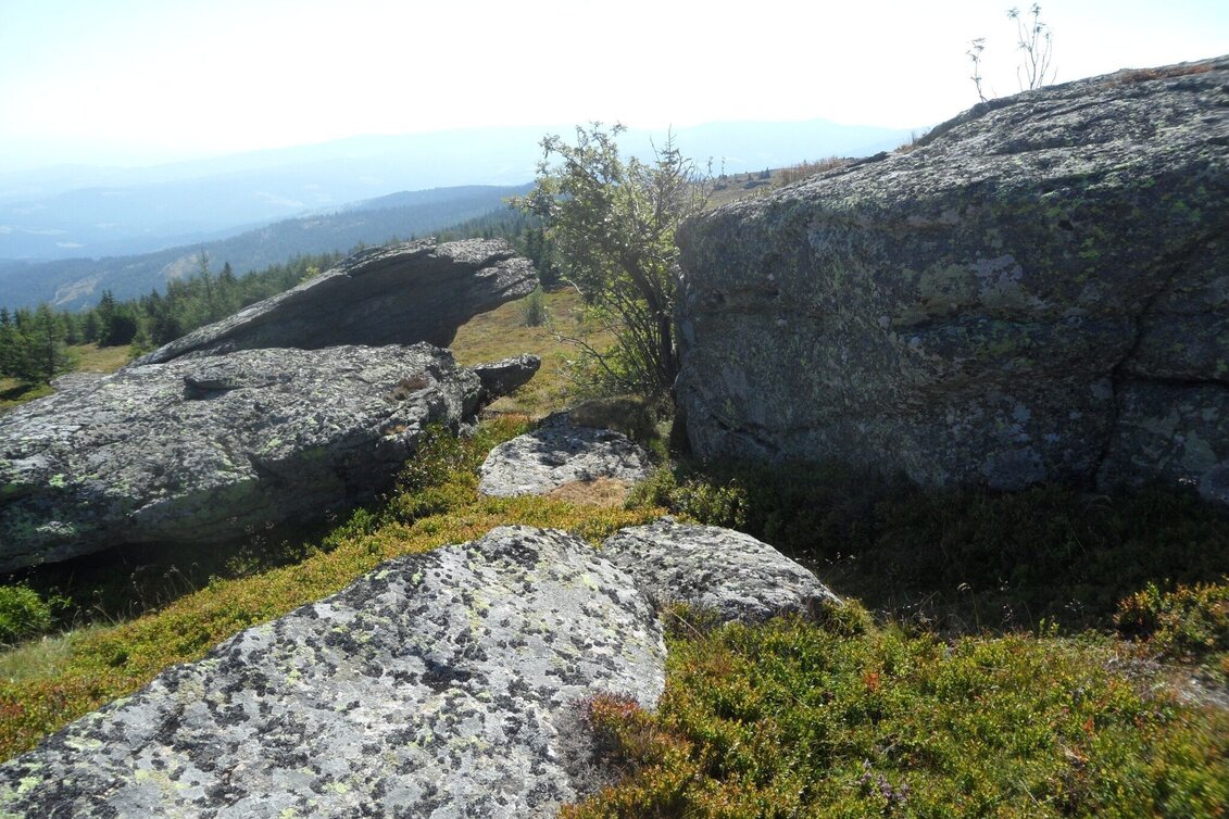 Hiking route 7-Almhüttenwanderung Variante 1 - Touren-Impression #1 | © Region Graz
