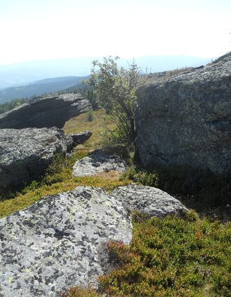 Hirschegger Goldloch | TV Lipizzanerheimt/EU | © Region Graz