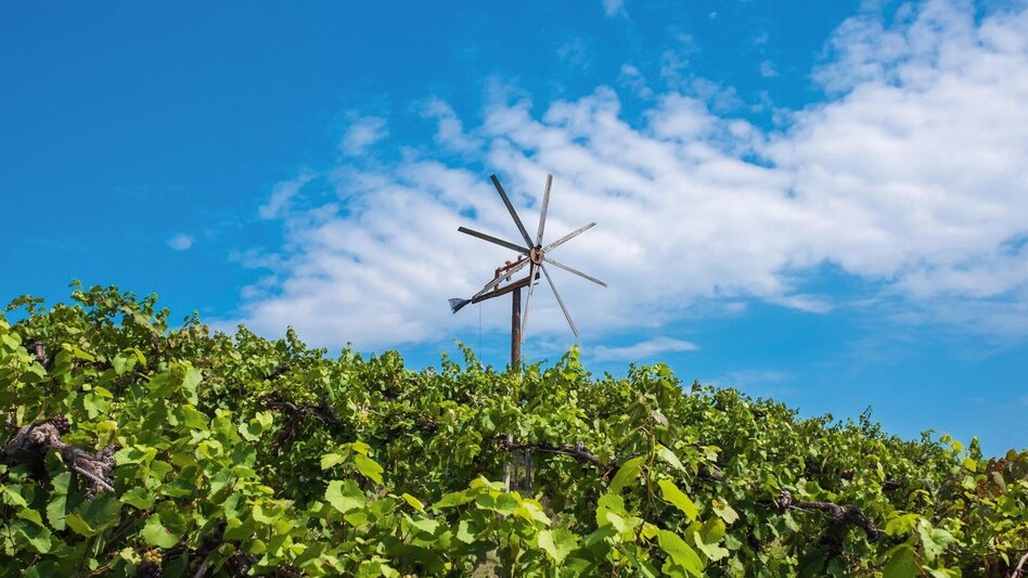 Mountainbike Panoramatour (Eibiswald), Nr. 102 - Touren-Impression #2.1 | © Schilcherland Steiermark