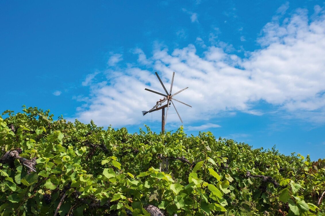 Mountainbike Panoramatour (Eibiswald), Nr. 102 - Touren-Impression #1 | © Schilcherland Steiermark