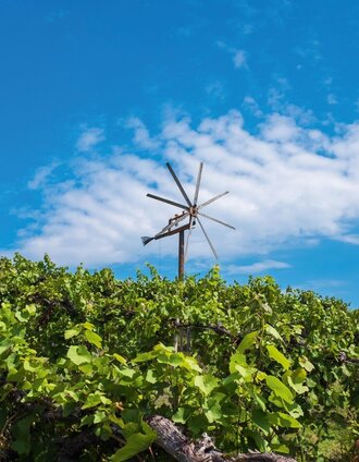 panoramatour (eibiswald) – ein perfekter dreiklang_img_48456739 | Markus Gutschi | © Schilcherland Steiermark