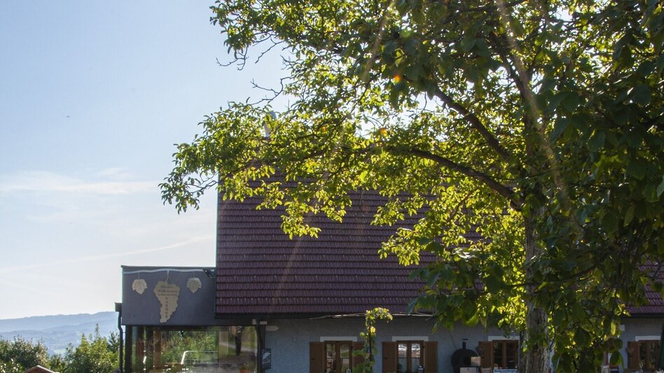 Mountainbike Panoramatour (Eibiswald), Nr. 102 - Touren-Impression #2.4 | © Südsteiermark