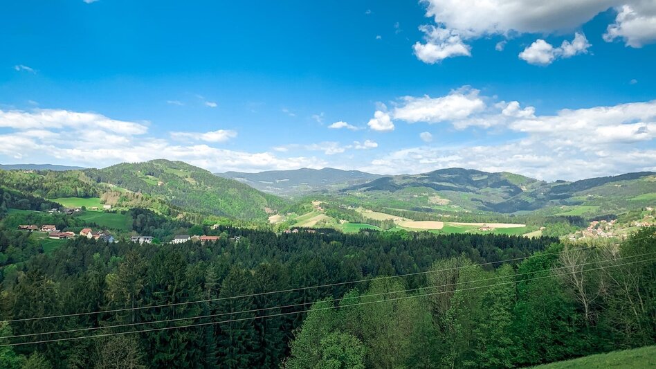 Mountainbike Panoramatour (Eibiswald), Nr. 102 - Touren-Impression #2.9 | © Südsteiermark