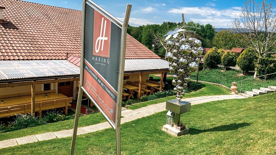 Mountainbike Panoramatour (Eibiswald), Nr. 102 - Touren-Impression #2.12 | © Schilcherland Steiermark