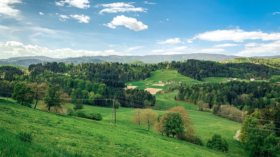 Mountainbike Aussichtsrunde–Hofladentour,Nr. 101 A - Touren-Impression #2.1 | © TVB Südsteiermark/Bernhard Prangl