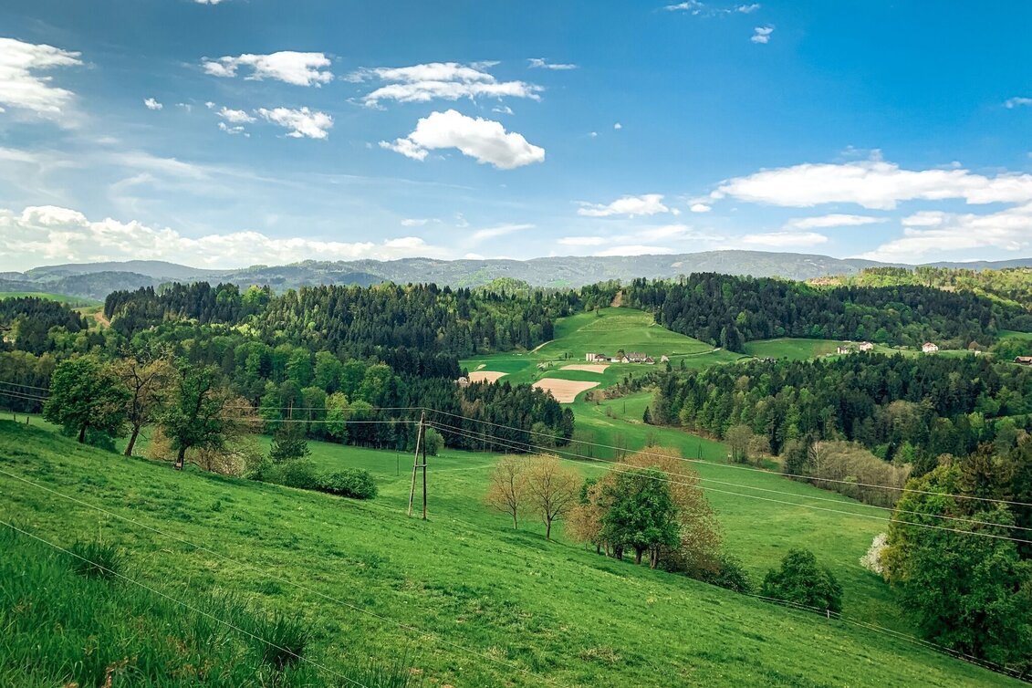 Mountainbike Aussichtsrunde–Hofladentour,Nr. 101 A - Touren-Impression #1 | © TVB Südsteiermark/Bernhard Prangl