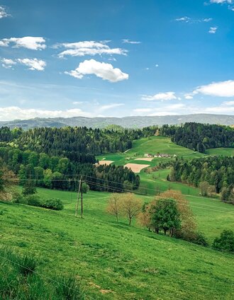 aussichtsrunde – hofladentour a_img_48010841 | Bernhard Prangl | © TVB Südsteiermark/Bernhard Prangl
