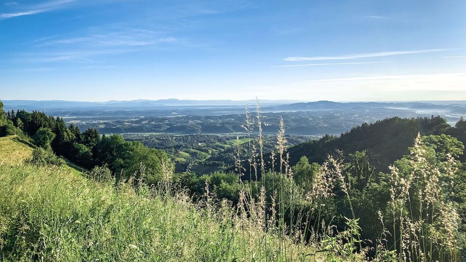 Mountain Biking St. Pongratzen - Kapla Lake - Gravel Bike Dream Tour - Touren-Impression #2.2 | © Südsteiermark