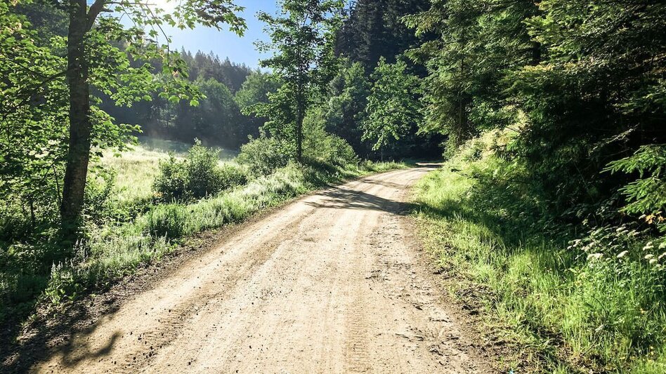 Mountain Biking St. Pongratzen - Kapla Lake - Gravel Bike Dream Tour - Touren-Impression #2.3 | © Südsteiermark