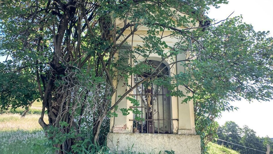 Mountain Biking St. Pongratzen - Kapla Lake - Gravel Bike Dream Tour - Touren-Impression #2.4 | © Südsteiermark