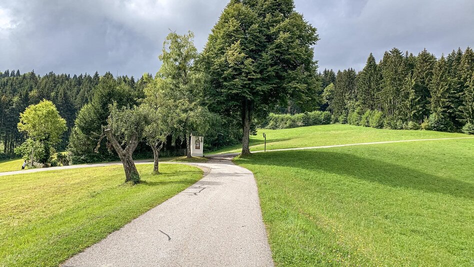 Mountain Biking Auenberg - The most beautiful route to the Radlpass - Touren-Impression #2.1 | © Südsteiermark