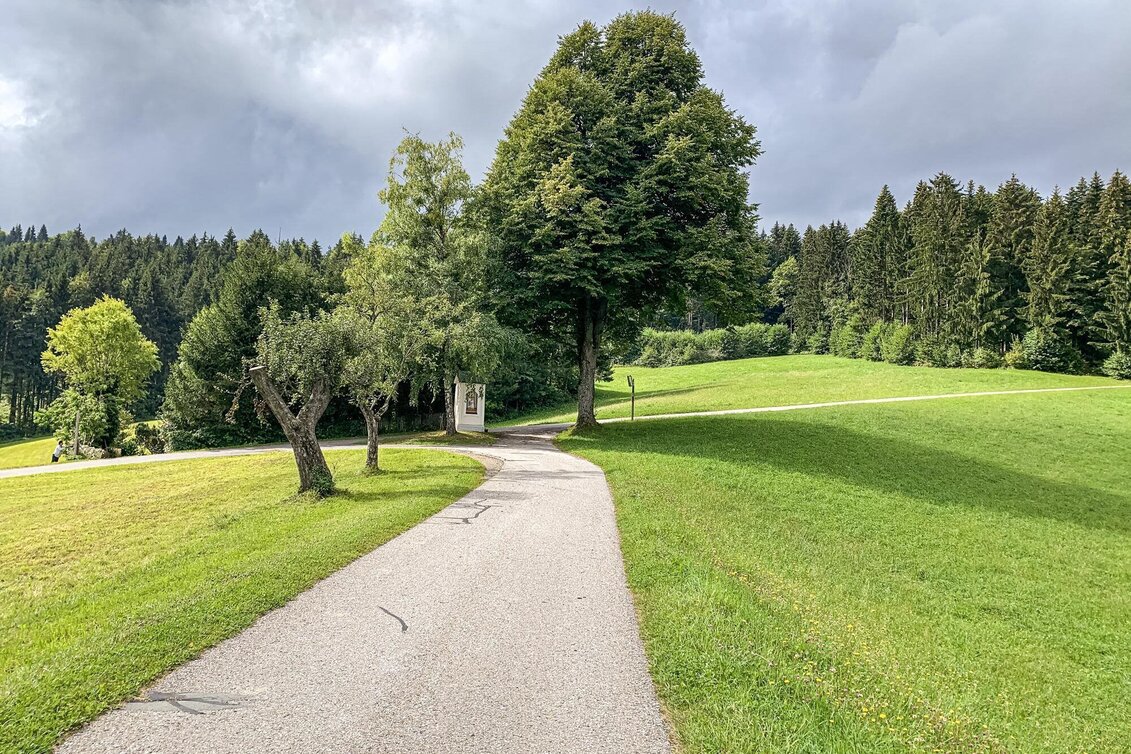 Mountain Biking Auenberg - The most beautiful route to the Radlpass - Touren-Impression #1 | © Südsteiermark