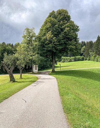 auenberg - die schönste route auf den radlpass_img_53039228 | Bernhard Prangl | © Südsteiermark