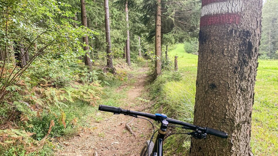 Mountain Biking Auenberg - The most beautiful route to the Radlpass - Touren-Impression #2.3 | © Südsteiermark