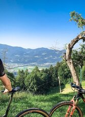 nandlrunde – la doyenne. eine runde durch luis‘ büro._img_50968211 | © Südsteiermark | Bernhard Prangl | © Südsteiermark