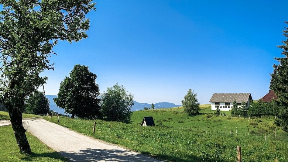 Mountain Biking Nandlrunde - La Doyenne. A round through Luis' office. - Touren-Impression #2.3 | © Südsteiermark
