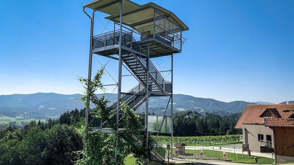 Mountain Biking Nandlrunde - La Doyenne. A round through Luis' office. - Touren-Impression #2.5 | © Südsteiermark