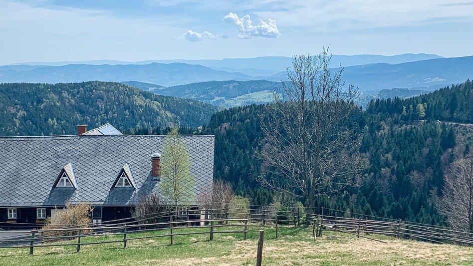 Mountain Biking Schmuckbauerwirt - St. Anna - the bike tour for the brave - Touren-Impression #2.1 | © Südsteiermark