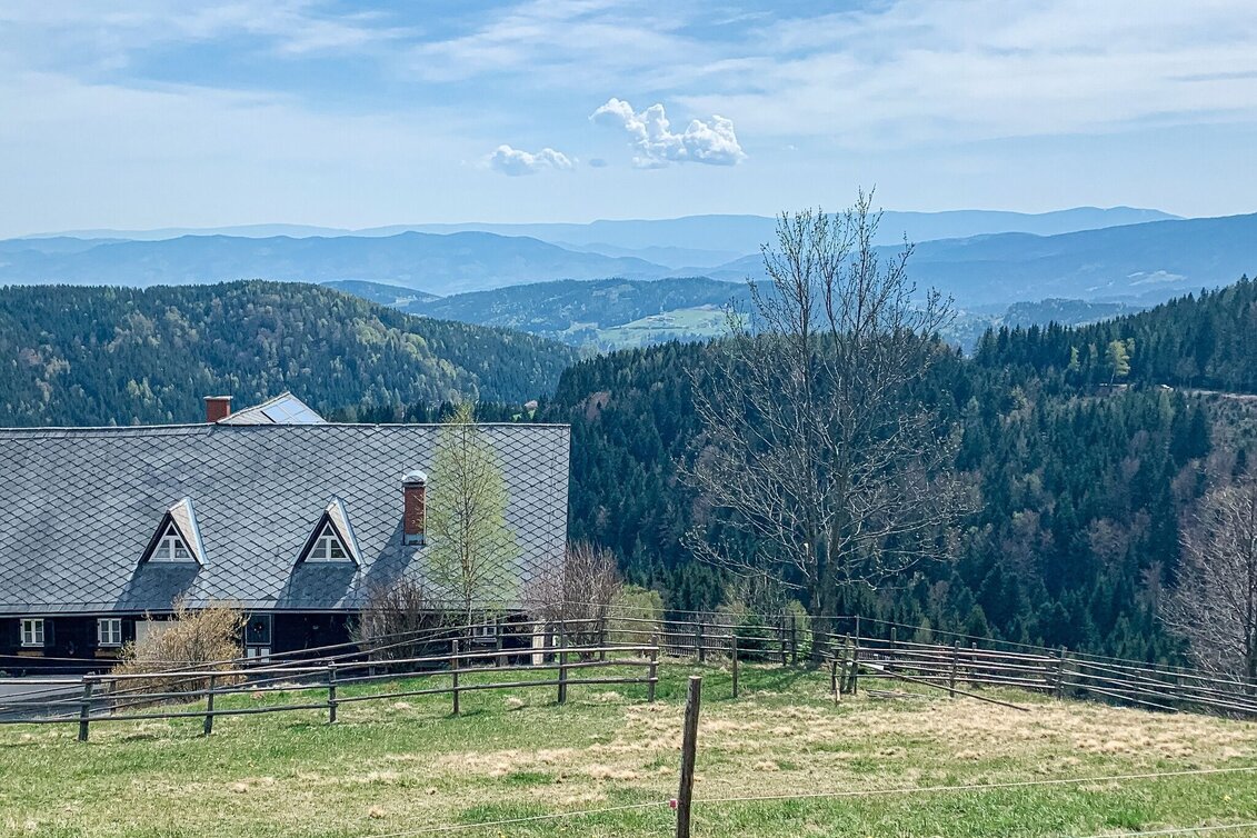 Mountain Biking Schmuckbauerwirt - St. Anna - the bike tour for the brave - Touren-Impression #1 | © Südsteiermark