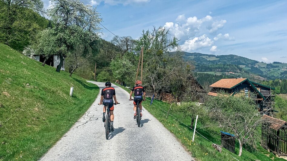 Mountain Biking Schmuckbauerwirt - St. Anna - the bike tour for the brave - Touren-Impression #2.2 | © Südsteiermark