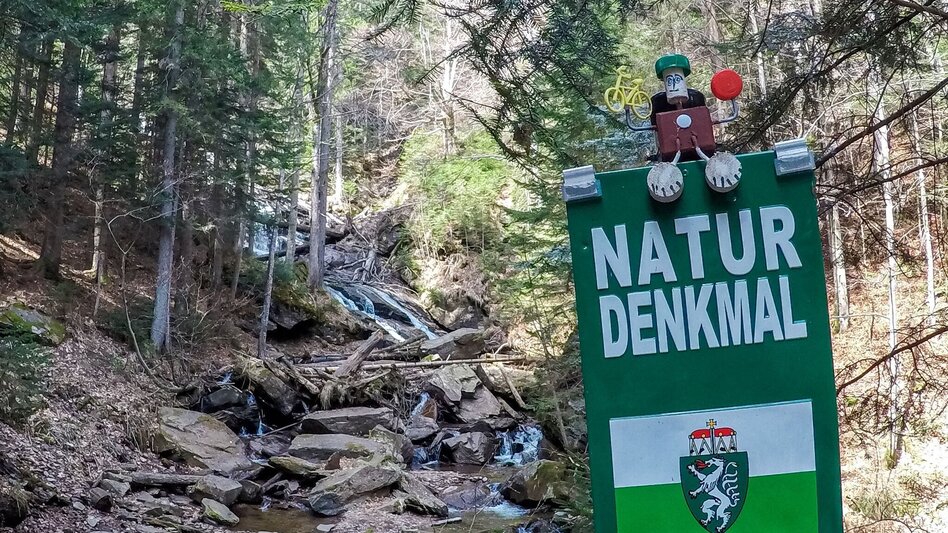 Mountain Biking Schmuckbauerwirt - St. Anna - the bike tour for the brave - Touren-Impression #2.5 | © Südsteiermark