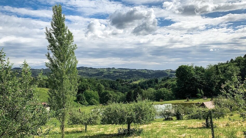 Mountain Biking Schilcherland - Rebenland - a change of perspective - Touren-Impression #2.2 | © Südsteiermark