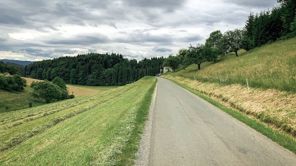 Mountain Biking Schilcherland - Rebenland - a change of perspective - Touren-Impression #2.5 | © Südsteiermark