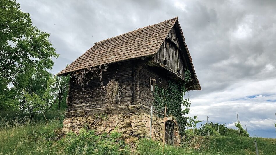 Mountain Biking Schilcherland - Rebenland - a change of perspective - Touren-Impression #2.6 | © Südsteiermark