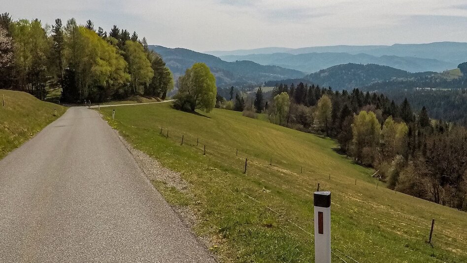 Mountain Biking Around St. Lorenzen - many reasons for such a short tour - Touren-Impression #2.2 | © Südsteiermark