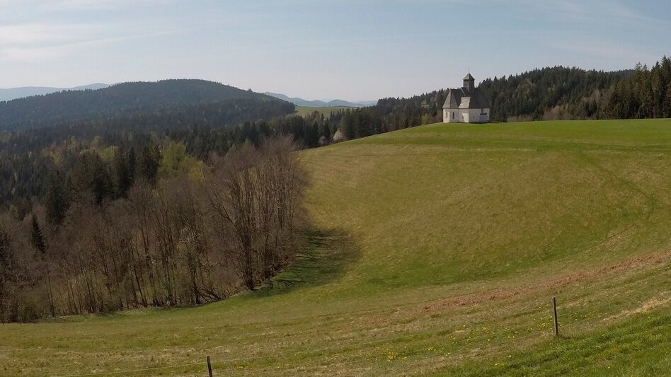 Mountain Biking Around St. Lorenzen - many reasons for such a short tour - Touren-Impression #2.3 | © Südsteiermark