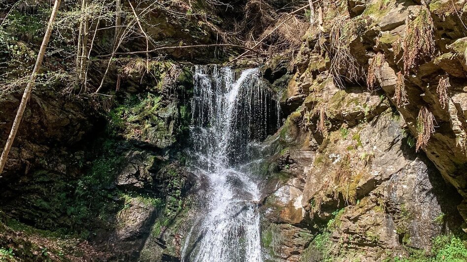 Mountain Biking Around St. Lorenzen - many reasons for such a short tour - Touren-Impression #2.5 | © Südsteiermark