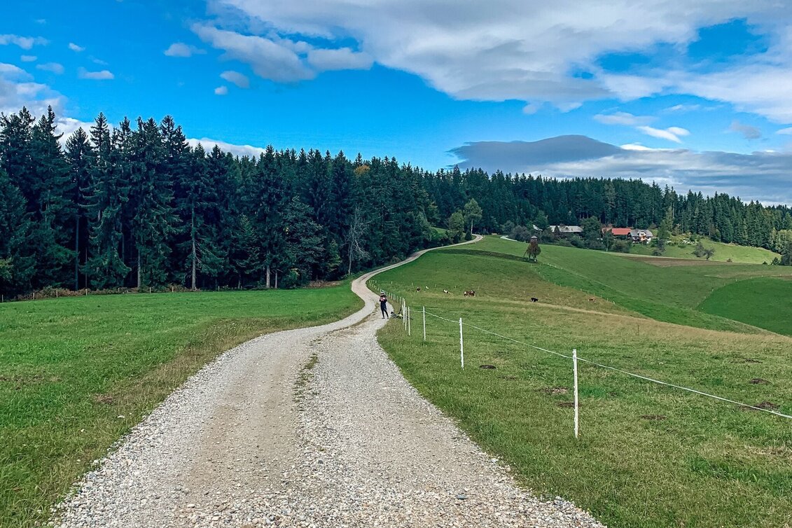 Mountain Biking Odernik Tour - the small Nandl with a big panorama - Touren-Impression #1 | © Südsteiermark