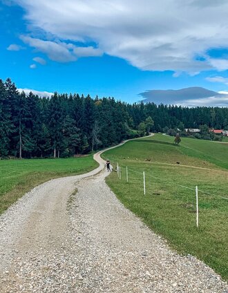 Odernik | Bernhard Prangl | © Südsteiermark