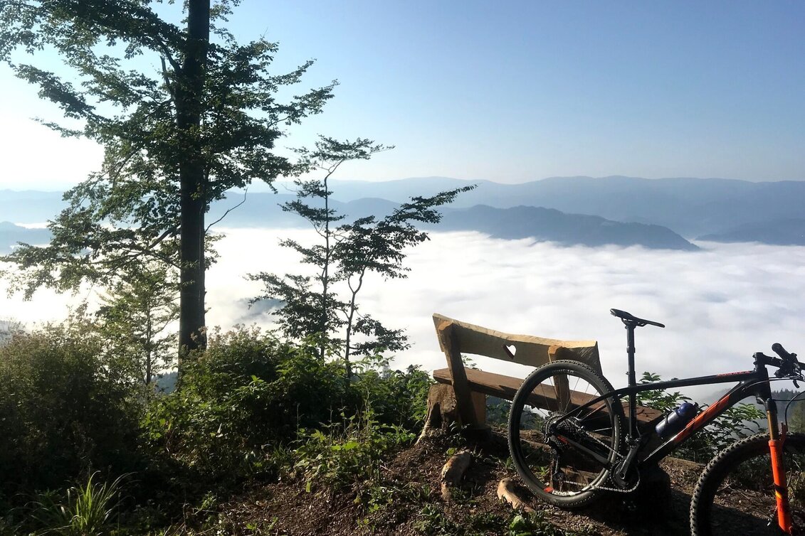Mountain Biking Around the Kapuner - or the Hausberg circuit - Touren-Impression #1 | © Südsteiermark