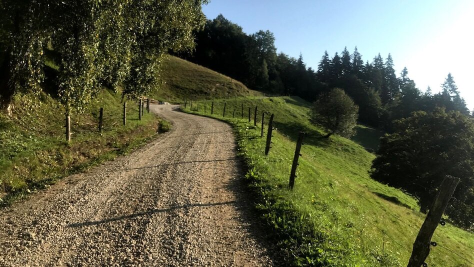 Mountain Biking Around the Kapuner - or the Hausberg circuit - Touren-Impression #2.6 | © Schilcherland Steiermark