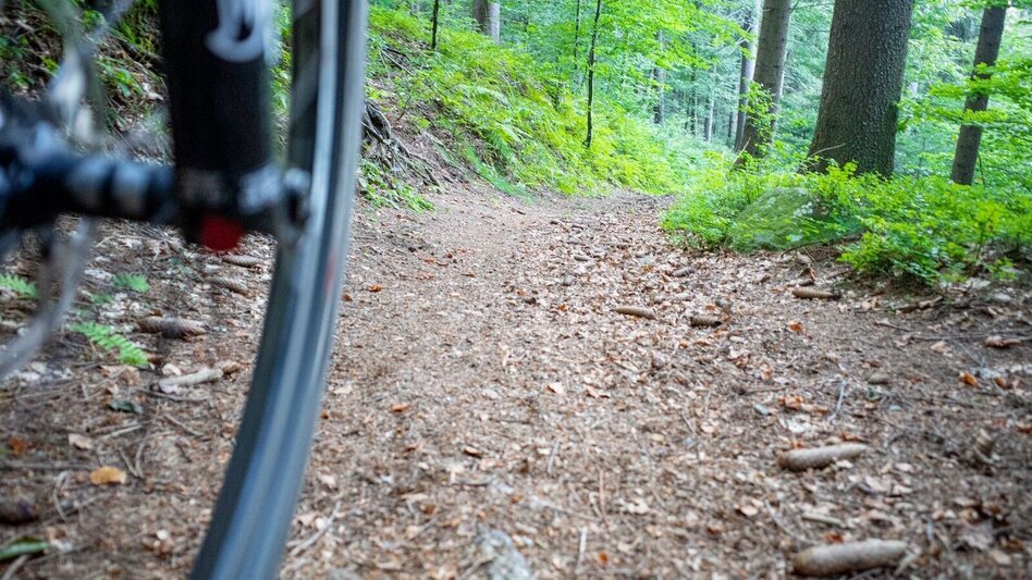 Mountain Biking Around the Kapuner - or the Hausberg circuit - Touren-Impression #2.14 | © Südsteiermark