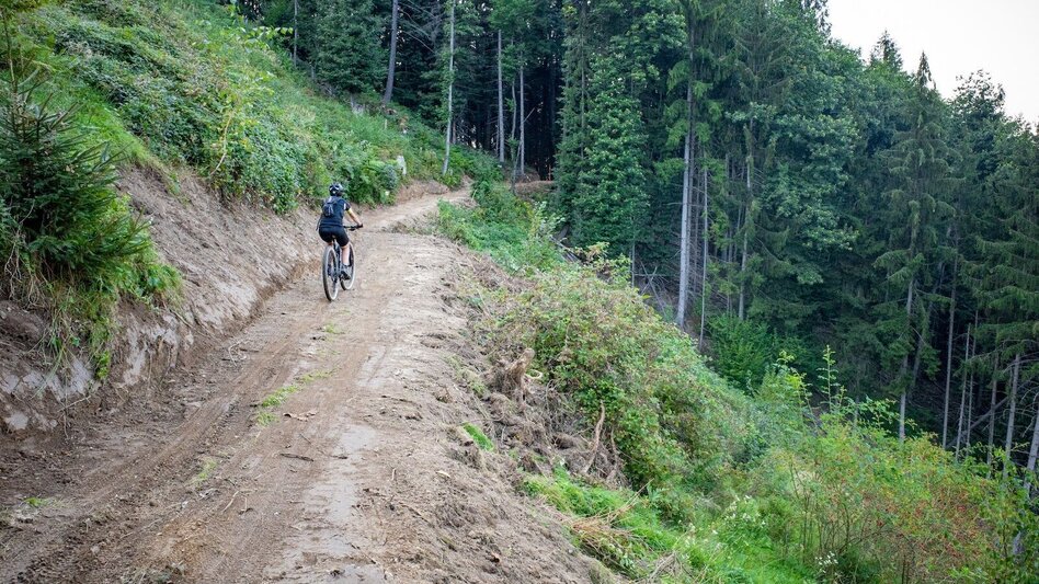 Mountain Biking Around the Kapuner - or the Hausberg circuit - Touren-Impression #2.18 | © Südsteiermark