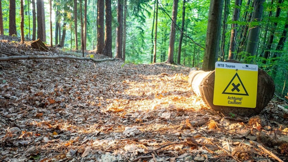 Mountain Biking Around the Kapuner - or the Hausberg circuit - Touren-Impression #2.19 | © Südsteiermark