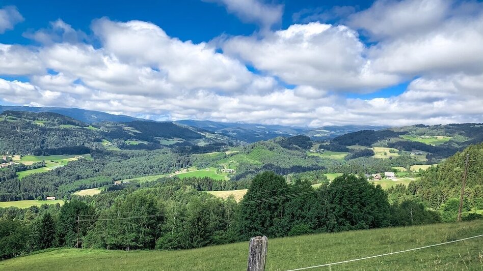 Mountain Biking Schirchleralm Tour - We only have to want... - Touren-Impression #2.3 | © Südsteiermark