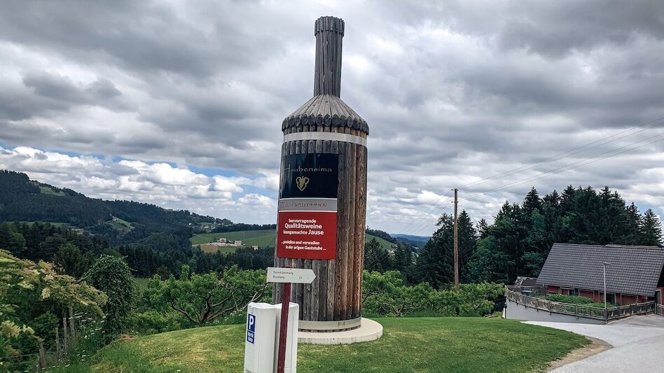 Mountain Biking Schirchleralm Tour - We only have to want... - Touren-Impression #2.6 | © Südsteiermark