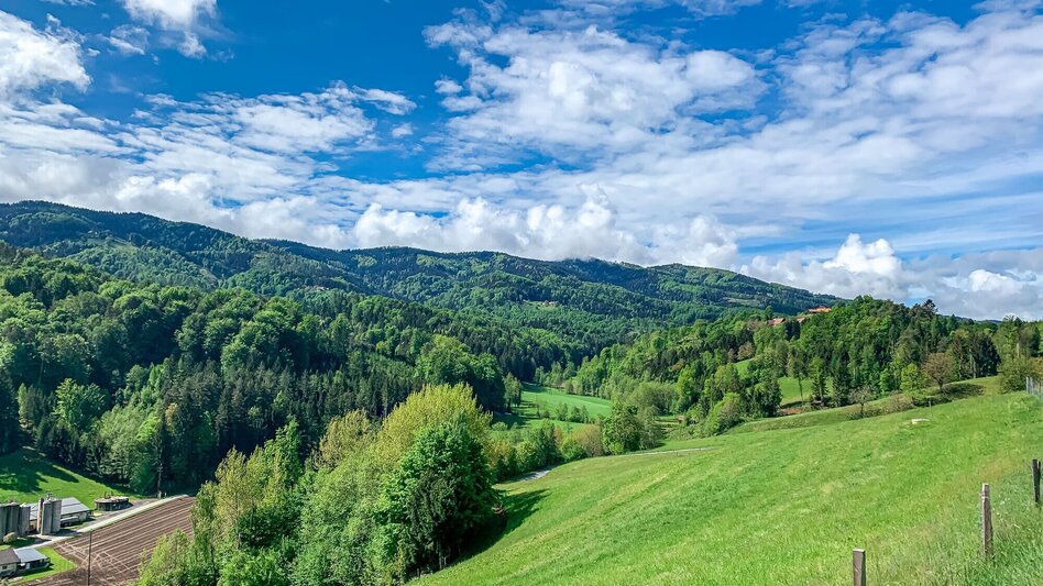 Mountainbike Große Panoramatour, Nr. 106 - Touren-Impression #2.1 | © Südsteiermark