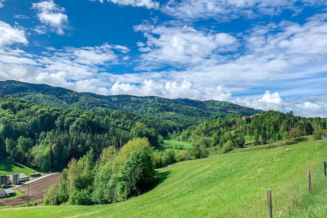 Mountainbike Große Panoramatour, Nr. 106 - Touren-Impression #1 | © Südsteiermark