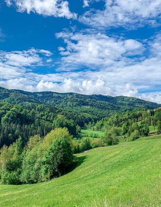 große panoramatour  – labyrinth zum riesen_img_49378337 | Bernhard Prangl | © Südsteiermark