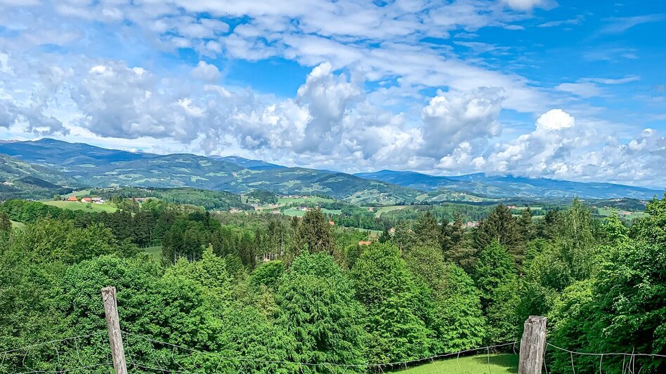 Mountainbike Große Panoramatour, Nr. 106 - Touren-Impression #2.2 | © Südsteiermark